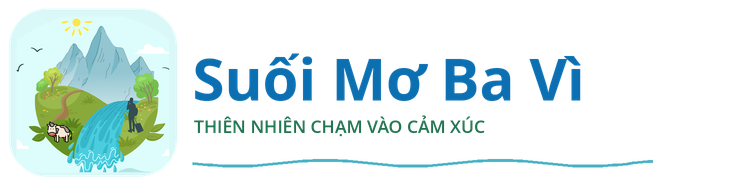 Suối Mơ Ba Vì — Thiên nhiên chạm vào cảm xúc
